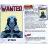 Storm wanted poster